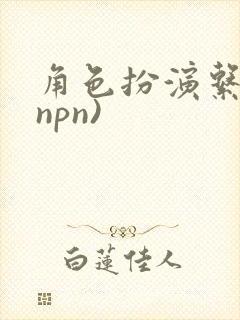 角色扮演系统(npn)