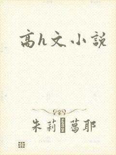 高h文小说