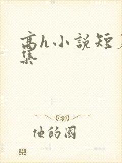 高h小说短篇合集