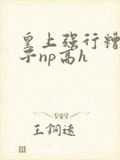 皇上强行糟蹋太子np高h