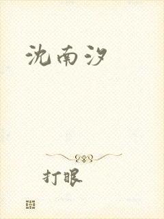 沈南汐封面