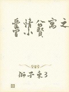 爱情公寓之极品曾小贤