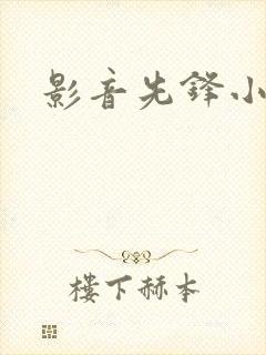 影音先锋小说封面