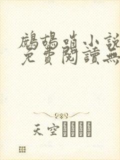 鹧鸪哨小说网站免费阅读无弹窗