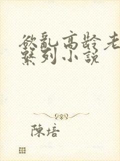 欲乱高龄老女人系列小说封面