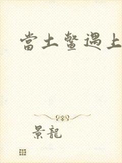 当土鳖遇上海龟封面