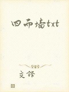 四面墙txt封面