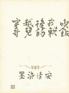 穿越后我吃到了哥儿的软饭炉山灰封面