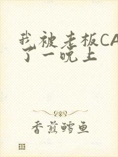 我被老板CAO了一晚上