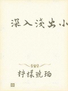 深入浅出小说