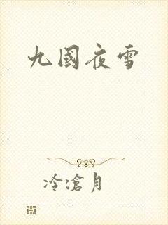 九国夜雪