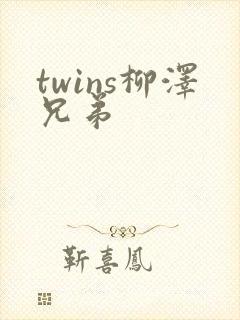 twins柳泽兄弟