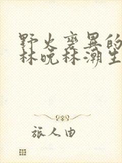 野火变异的父爱林晚林潮生