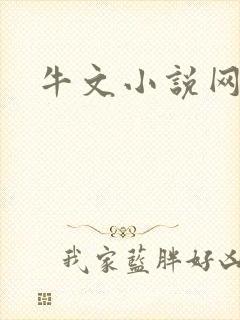 牛文小说网封面