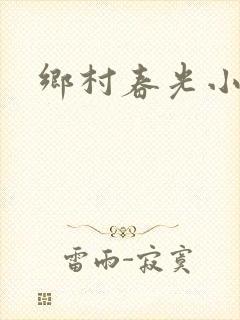 乡村春光小说封面
