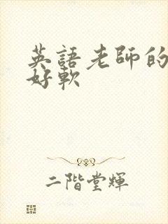 英语老师的兔子好软