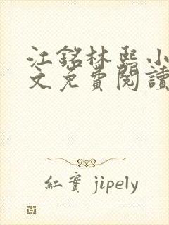 江铭林熙小说全文免费阅读