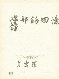 慢哪的回忆录目录封面