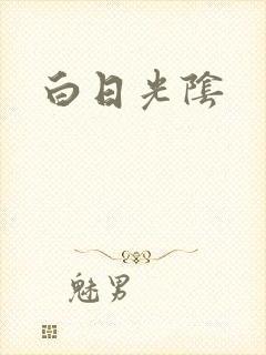 白日光阴封面