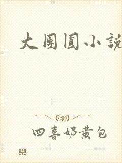 大团圆小说