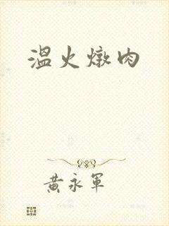 温火炖肉