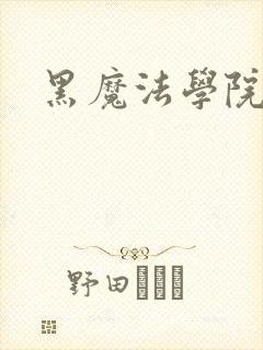 黑魔法学院封面