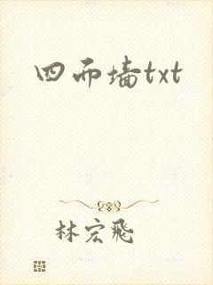 四面墙txt