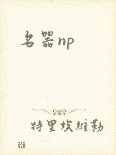 名器np