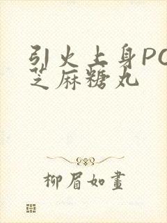 引火上身POP芝麻糖丸封面