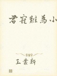 君宠难为小说封面