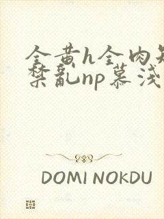 全黄h全肉短篇禁乱np慕浅浅