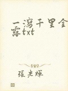 一泻千里金银花露txt