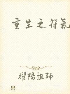 重生之符气冲天封面