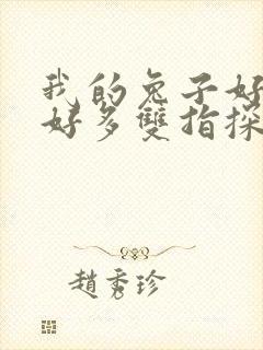 我的兔子好软水好多双指探洞小说封面