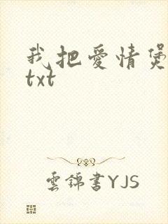 我把爱情煲成汤txt封面