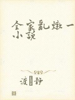 全家乱炖一锅烩小说封面