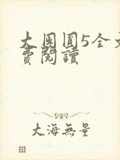 大团圆5全文免费阅读封面