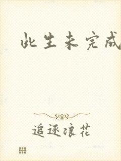 此生未完成封面