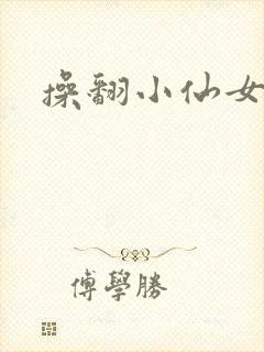 操翻小仙女封面