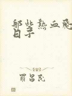 那些热血飞扬的日子封面