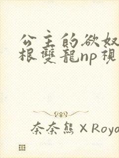 公主的欲奴h四根双龙np视频