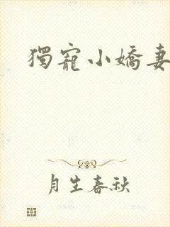 独宠小娇妻