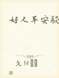 好人平安骁骑校封面