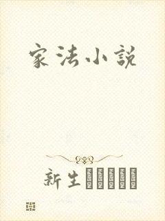 家法小说封面