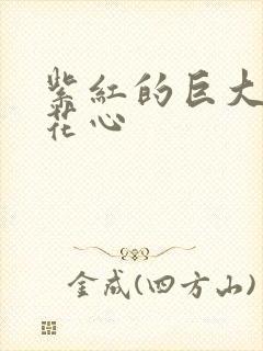 紫红的巨大顶开花心封面