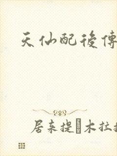 天仙配后传封面