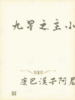 九星之主小说
