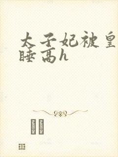 太子妃被皇上强睡高h