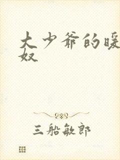 大少爷的暖床小奴