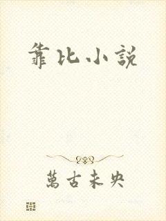 靠比小说